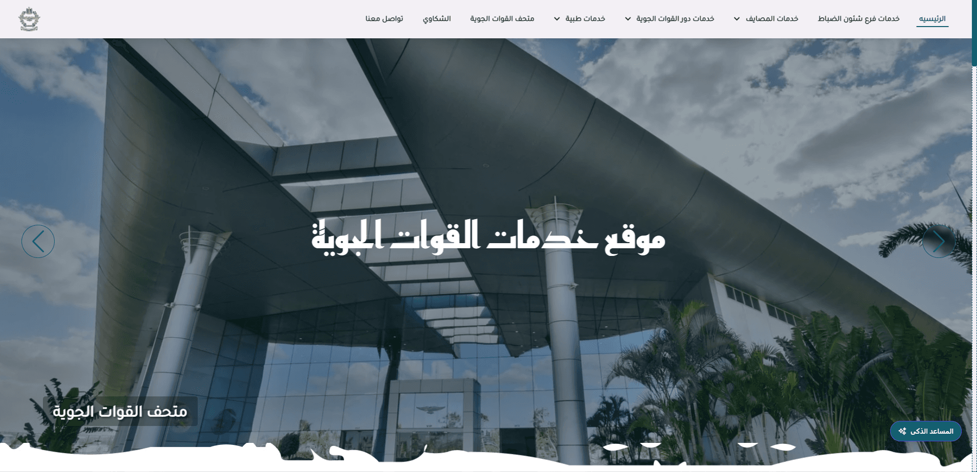 Egyptian Air Force Services